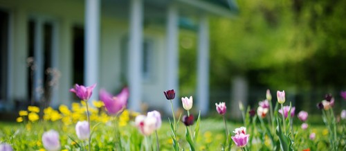 Spring Tips for Inside Your Home